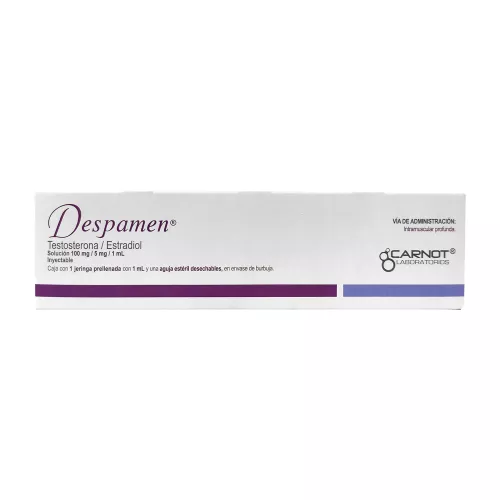 DESPAMEN 100/5 mg 1 Jeringa