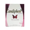 CANDIPHEN-V 200 mg 3 Óvulo miniatura 2